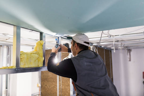 Best Best Insulation Companies  in Amherst, TX