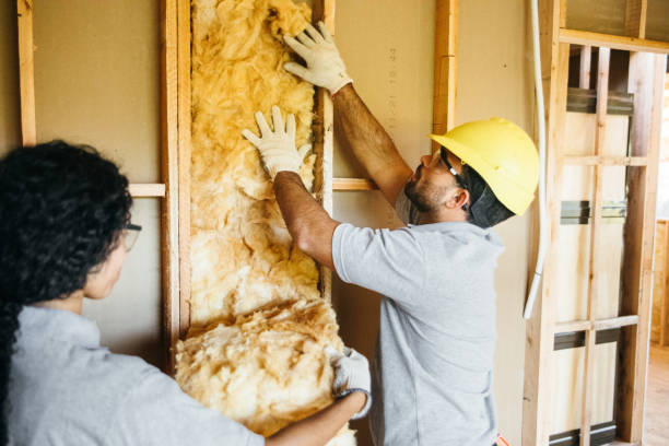 Best Cellulose Insulation  in Amherst, TX